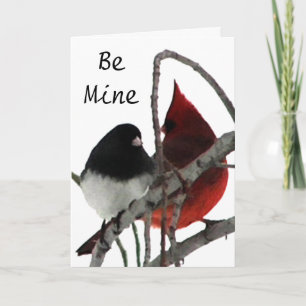Cartes Pour Fêtes Annuelles Odd Couple - Les oiseaux dans le Bush