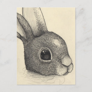 Cartes Pour Fêtes Annuelles Oeil de lapin