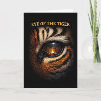 Œil du Tigre