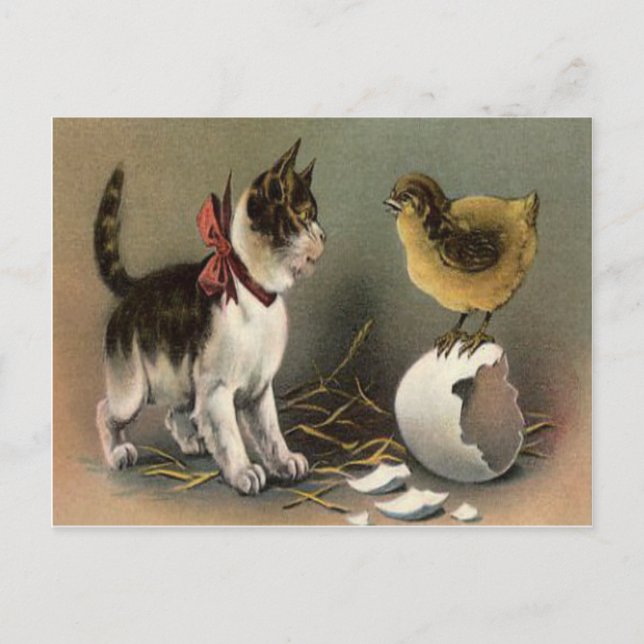 Cartes Pour Fêtes Annuelles Oeuf de Pâques Chat Kitten (Devant)