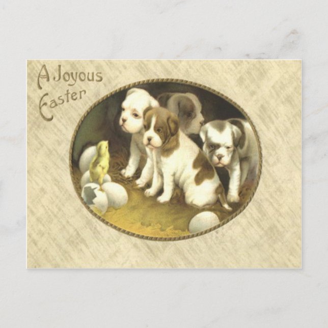 Cartes Pour Fêtes Annuelles Oeuf de poussin de Pâques de chiot de chien (Devant)