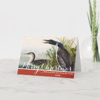 Œuvre d'art vintage d'Audubon sur le plongeon huar