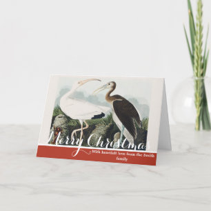 Cartes Pour Fêtes Annuelles Œuvre d'art vintage d'Audubon sur l'Ibis blanc et