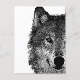 Cartes Pour Fêtes Annuelles OEuvre d'oeil de loup noir et blanc