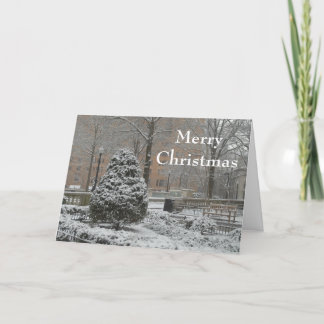Cartes Pour Fêtes Annuelles Oh Christmas Tree Greeting Card