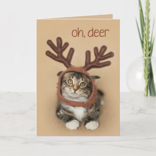 Cartes Pour Fêtes Annuelles Oh Deer Reindeer Kitten