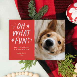 Cartes Pour Fêtes Annuelles Oh What Fun Animaux Photo Christmas Rouge