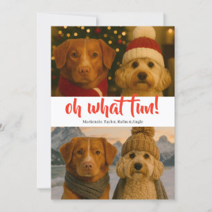 Cartes Pour Fêtes Annuelles Oh What Fun Photo Noël Personnalisé