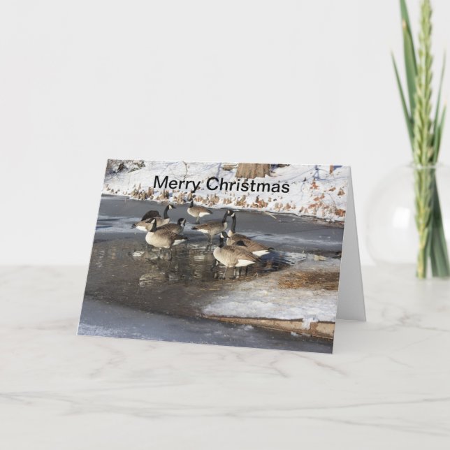 Cartes Pour Fêtes Annuelles Oies en attente (Devant)