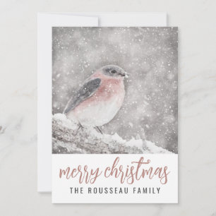 Cartes Pour Fêtes Annuelles Oiseau dans la neige en hiver Joyeux Noël