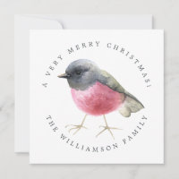 Oiseau d'aquarelle de Noël moderne