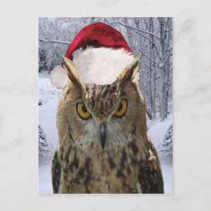 Cartes Pour Fêtes Annuelles Oiseau de Chouette de Noël dans un chapeau de Noël
