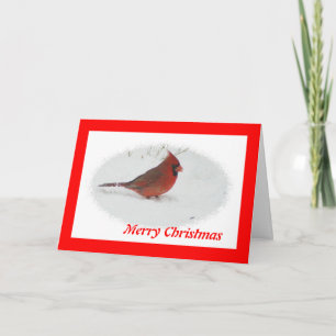 Cartes Pour Fêtes Annuelles Oiseau de Noël