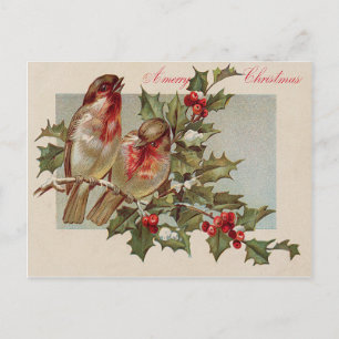 Cartes Pour Fêtes Annuelles Oiseau de Noël Songbird Holly Snow
