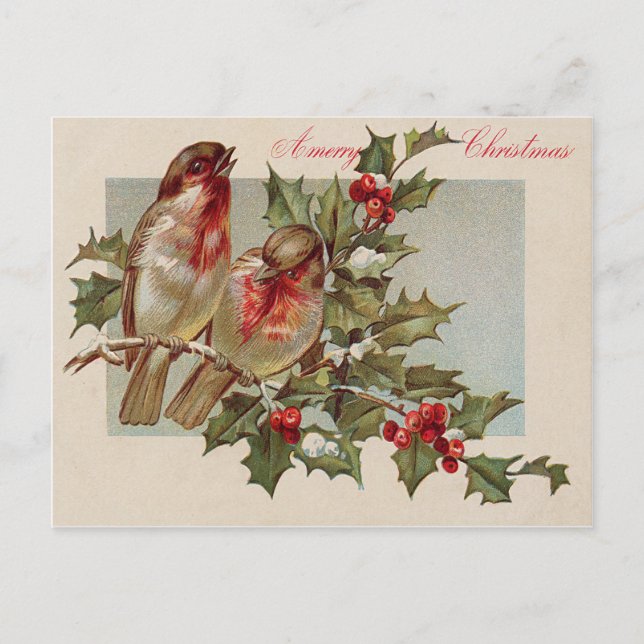 Cartes Pour Fêtes Annuelles Oiseau de Noël Songbird Holly Snow (Devant)