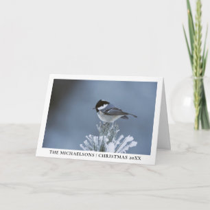 Cartes Pour Fêtes Annuelles Oiseau d'hiver perché sur une branche de pin givr