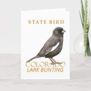 Cartes Pour Fêtes Annuelles Oiseau du territoire du Colorado Le Bund de Lark