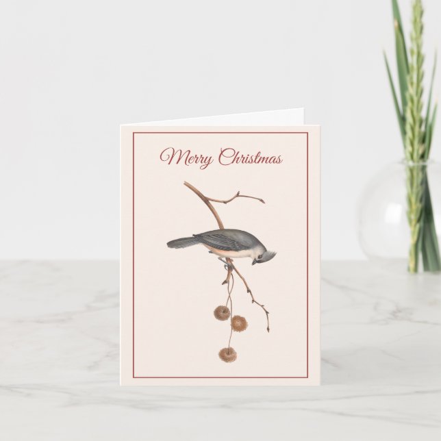 Cartes Pour Fêtes Annuelles Oiseau gracieux sur une branche Noël rose (Devant)