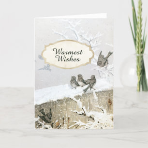 Cartes Pour Fêtes Annuelles Oiseau hivernal neige Junco Noël Nature Holiday C