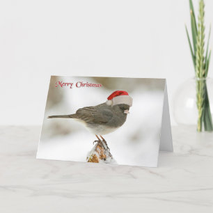 Cartes Pour Fêtes Annuelles Oiseau mignon avec chapeau de Santa Joyeux Noël