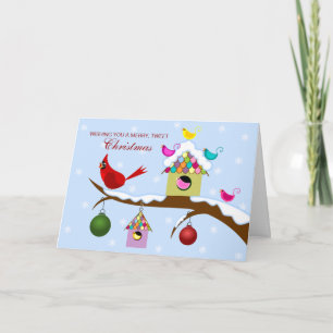 Cartes Pour Fêtes Annuelles Oiseaux colorés Noël