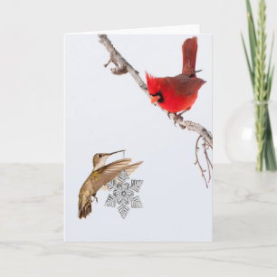 Cartes Pour Fêtes Annuelles Oiseaux de Gifting