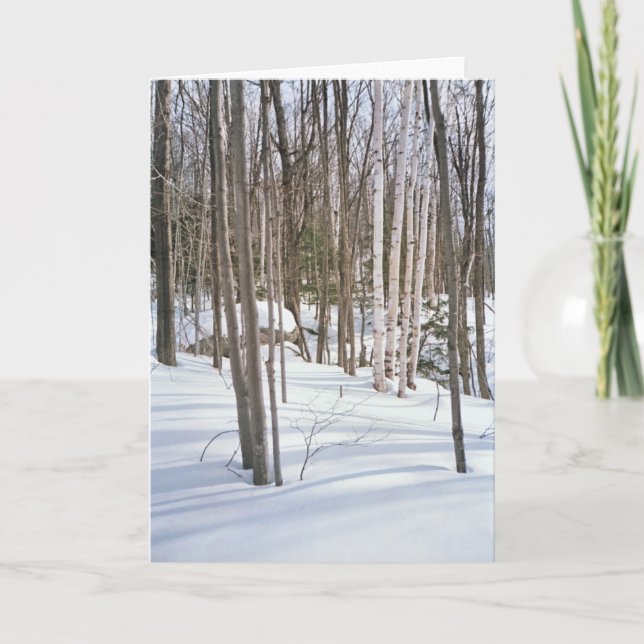 Cartes Pour Fêtes Annuelles Oiseaux de neige (Devant)