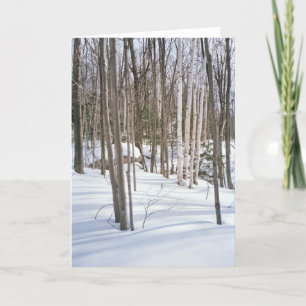 Cartes Pour Fêtes Annuelles Oiseaux de neige