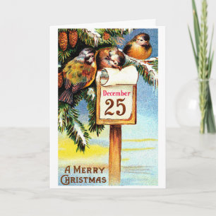Cartes Pour Fêtes Annuelles Oiseaux de neige de Noël