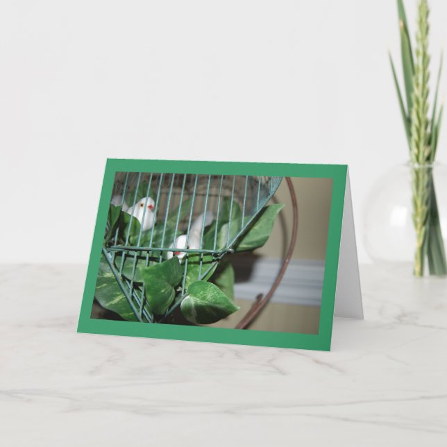 Cartes Pour Fêtes Annuelles Oiseaux de Noël (Devant)