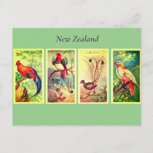 Cartes Pour Fêtes Annuelles Oiseaux de Nouvelle-Zélande Vintage Lyrebird Jungl