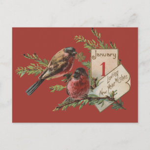 Cartes Pour Fêtes Annuelles Oiseaux du Nouvel An Vintage