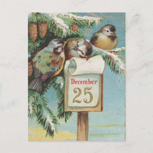 Cartes Pour Fêtes Annuelles Oiseaux le 25 décembre (Devant)