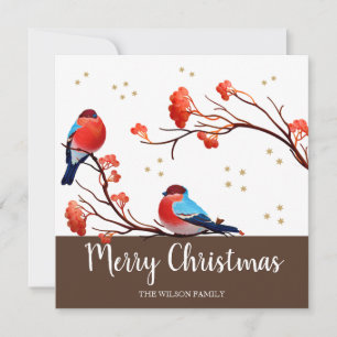 Cartes Pour Fêtes Annuelles Oiseaux mignons Robin sur le Berry Rouge