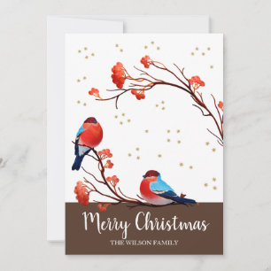 Cartes Pour Fêtes Annuelles Oiseaux mignons Robin sur le Berry Rouge