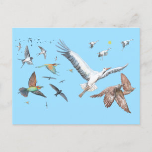 Cartes Pour Fêtes Annuelles Oiseaux migrateurs traçant leurs vols Illustration