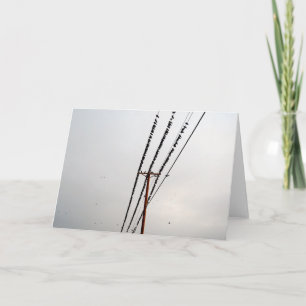 Cartes Pour Fêtes Annuelles Oiseaux sur fil