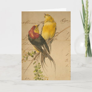 Cartes Pour Fêtes Annuelles Oiseaux vintages et papier pour livres de