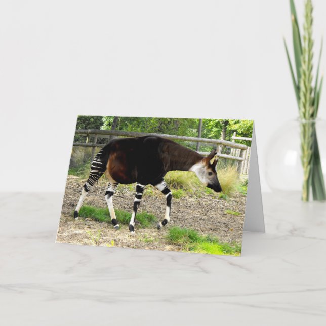 Cartes Pour Fêtes Annuelles Okapi (Devant)