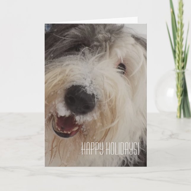 Cartes Pour Fêtes Annuelles Old English Sheepdog Card - Happy Holidays! (Devant)