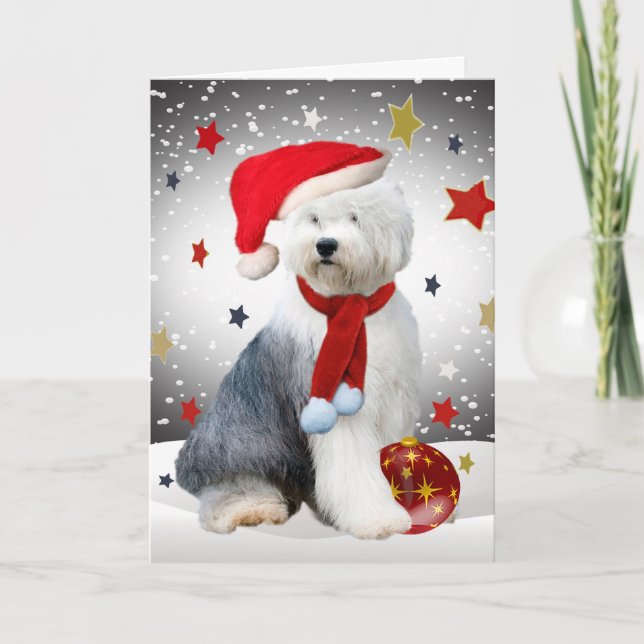 Cartes Pour Fêtes Annuelles Old English Sheepdog Étoiles de Noël (Devant)