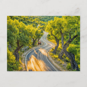 Cartes Pour Fêtes Annuelles Oliveraie avec vieux tracteur au chemin du soir