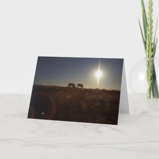 Cartes Pour Fêtes Annuelles OMRH Christmas 2008 (Devant)