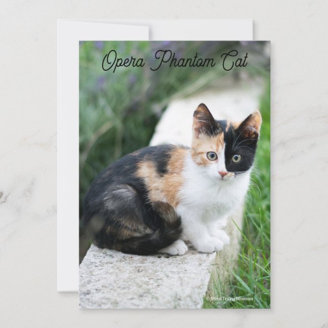 Cartes Pour Fêtes Annuelles Opera Phantom Chat (Devant)