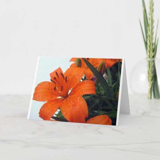 Cartes Pour Fêtes Annuelles Orange (Devant)