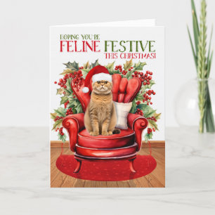 Cartes Pour Fêtes Annuelles Orange Scottish Pold Christmas Cat FELINE Festin