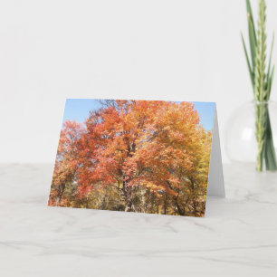 Cartes Pour Fêtes Annuelles Orangers