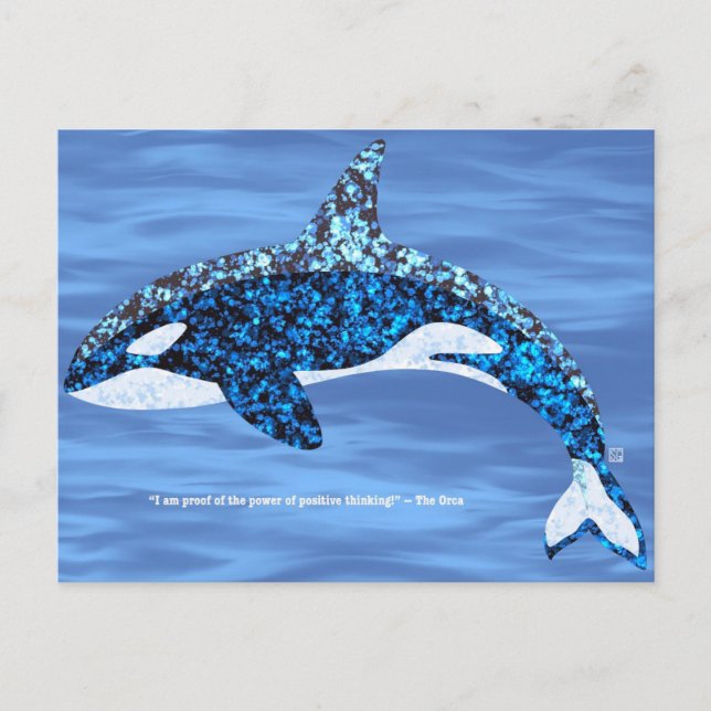 Cartes Pour Fêtes Annuelles Orca Positive Thinking Postcards (Devant)