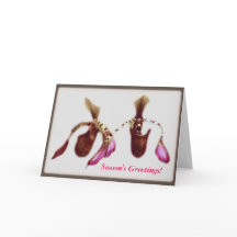 Orchidée de fleur de Noël