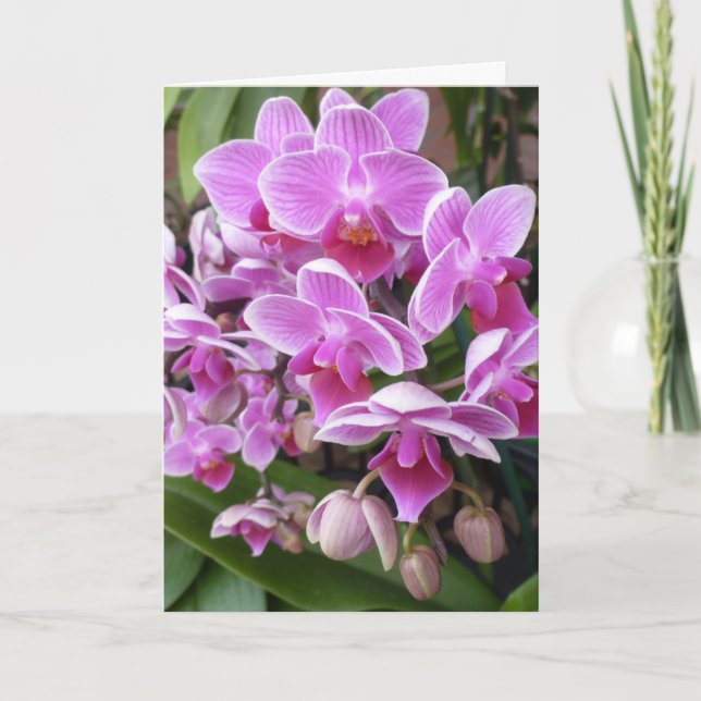 Cartes Pour Fêtes Annuelles Orchidées (Devant)